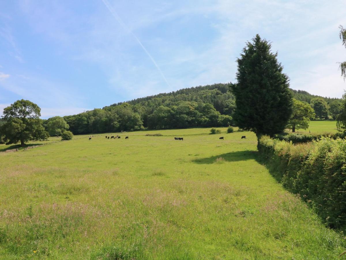 Lees Moor Cottage Matlock  Eksteriør billede